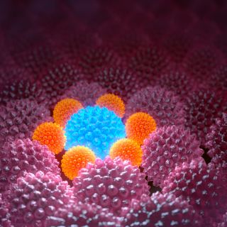 Rigenerazione Cellulare Avanzata